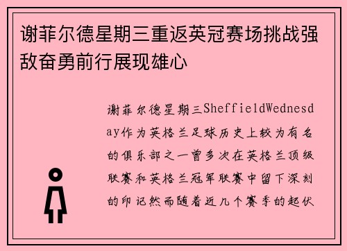 谢菲尔德星期三重返英冠赛场挑战强敌奋勇前行展现雄心